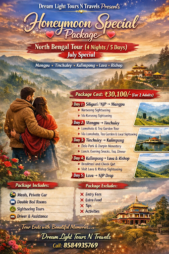 ✨ **Dream Light Tours N Travels Presents** ✨