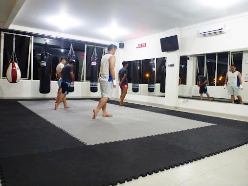 VIDA Muay Thai, Author: Vida Muaythai