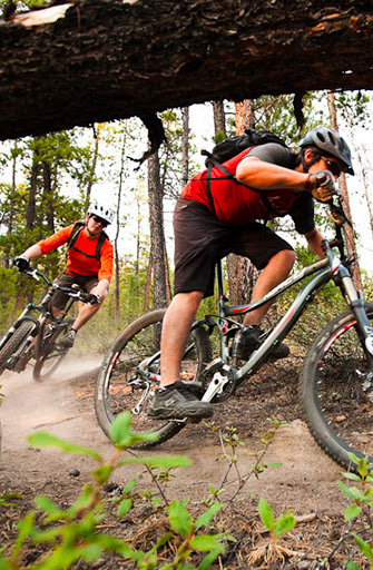 Elevate MTB - Visual