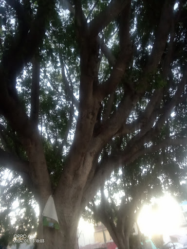 Glorieta "Manchego" - Thumbnail
