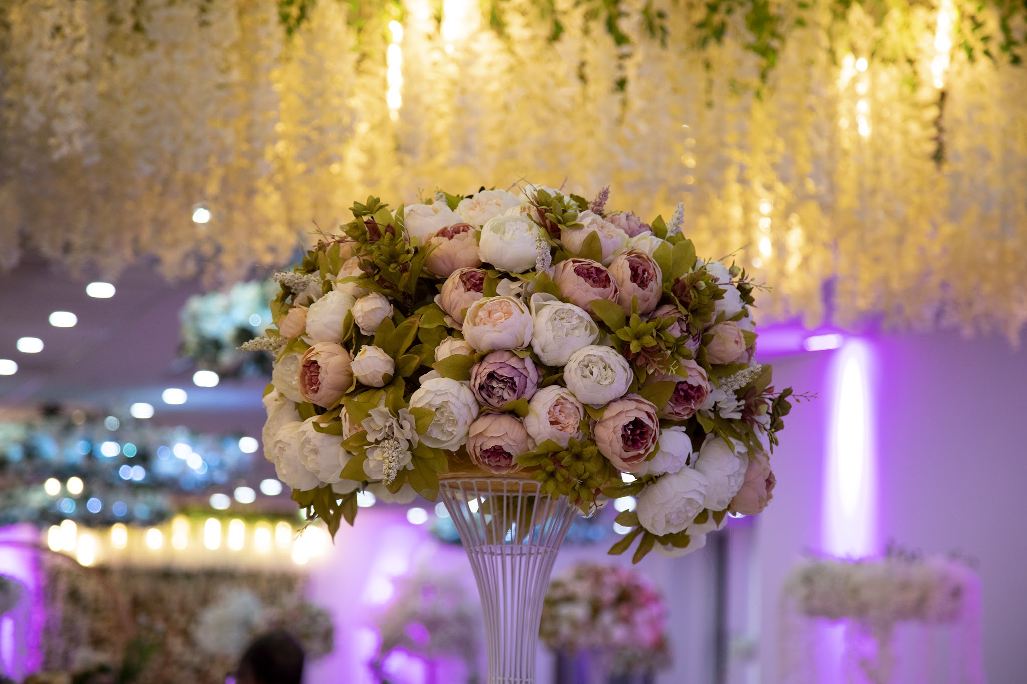 Botanical Suite - Venues - photo 1