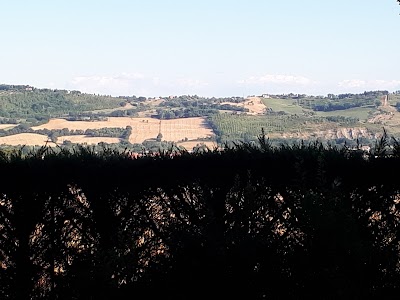 Photos of Il Giardino Dei Limoni