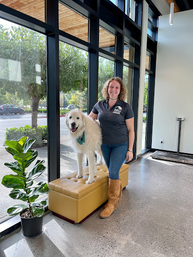 Arrowleaf Veterinary - Visual