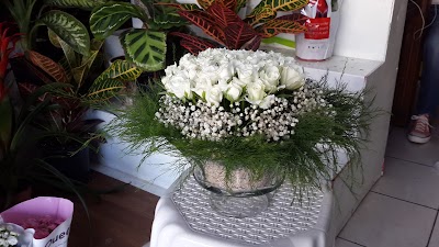 Photos of Rain Flower delivery Mersin