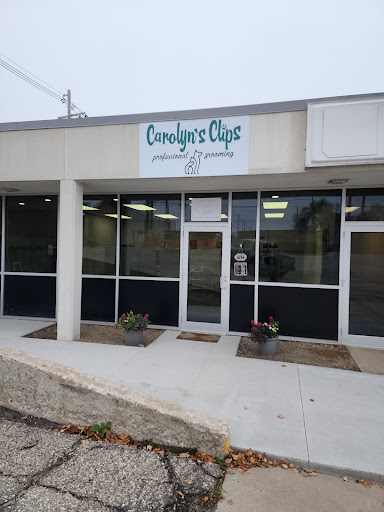 Carolyn's Clips Gallery - United States
