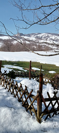 Sorgente della Radice