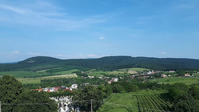 Dunaszentmiklós