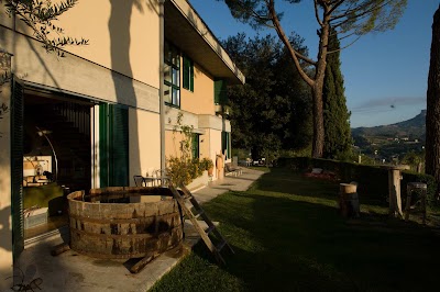 Photos of B & B Villa Fortezza