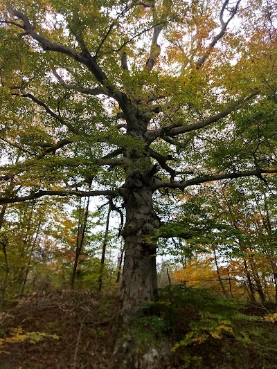 Ohio University Ridges Land Lab Nature Preserve And Scientific Research Area