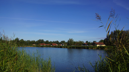 Rose Ferienhausvermietung