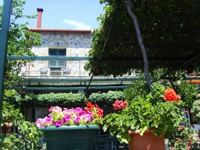 Photos of &Omicron; &kappa;ή&pi;&omicron;&sigmaf; &tau;&eta;&sigmaf; &Sigma;&kappa;&alpha;&rho;&delta;&alpha;&mu;&omicron;ύ&lambda;&alpha;&sigmaf;, O kipos tis Skardamoulas