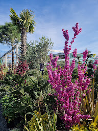 Photo n°26 de jardin dufaud à Saint-Georges-de-Reneins (Jardinerie)
