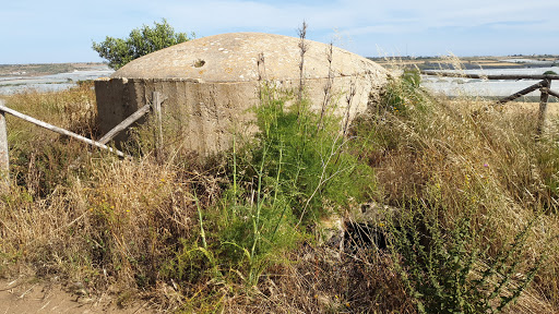 Bunker Scibini - Visual