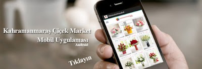 Photos of Mega &Ccedil;i&ccedil;ek&ccedil;ilik