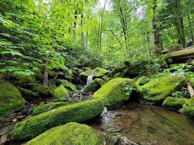 Backcountry Campsite #34