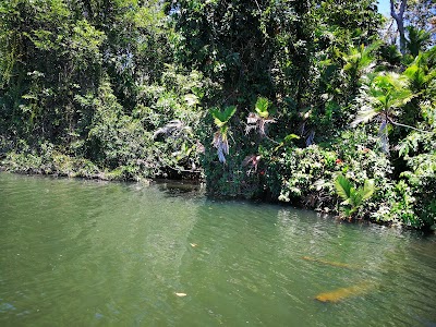 Photos of Cuero Salado. Refugio Vida Silvestre