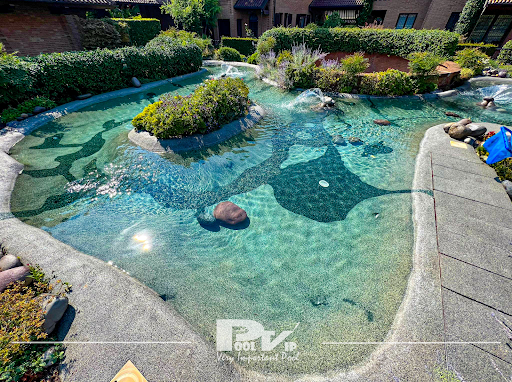 Pool VIP Srl - Visual