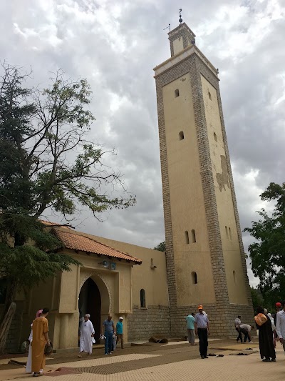 Photos of Niger mosque