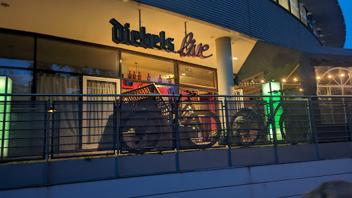 Diebels Live - Visual