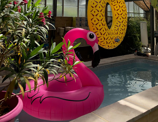 Photo de SULLY PISCINES à Saint-Père (58200)