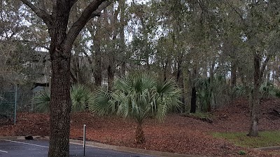Photos of Hampton Inn Jacksonville/Ponte Vedra Beach-Mayo Clinic Area
