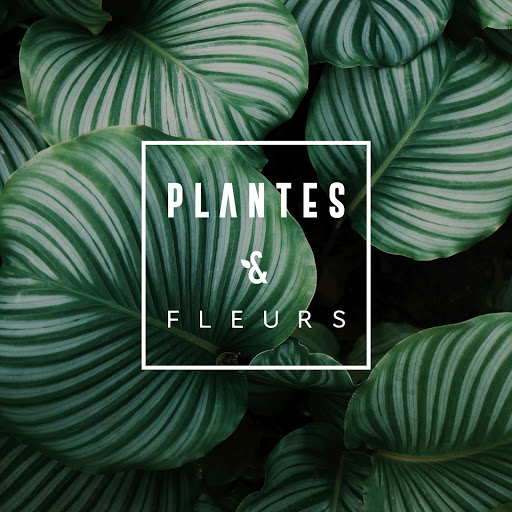 Plantes & Fleurs - Thumbnail