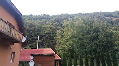 Photos of Aranyt&ouml;lgy Sz&aacute;ll&oacute;