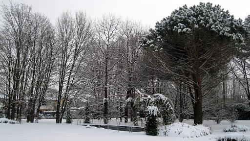 Casa Albergo di Lomazzo - Thumbnail