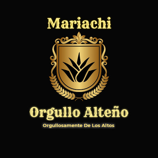 Mariachi Orgullo De Arandas Jalisco
