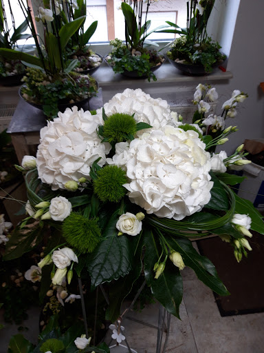 Blumen Salzmann | Melsungen Gallery - Germany
