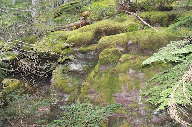 Trail of the Cedars Nature Trail