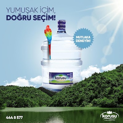 Korusu yalova bayii