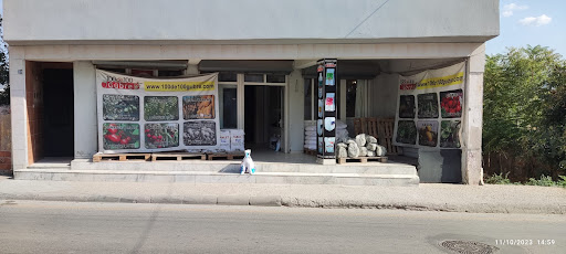 Ay Tarım Tuz Milas