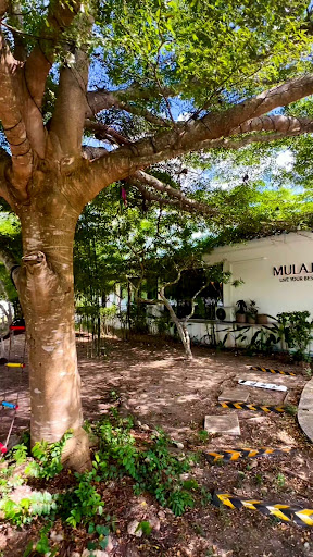 MULAJOY