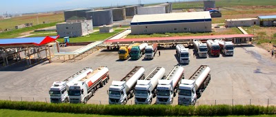 Photos of Bedyal Petroleum