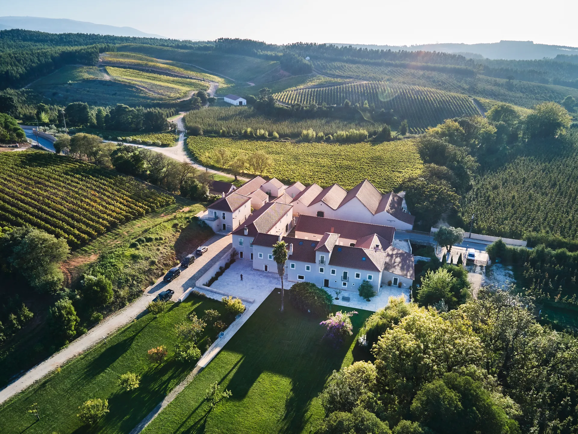 Quinta do Porto Nogueira by Romana Vini