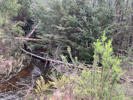 Jacksons Bridge - Visual