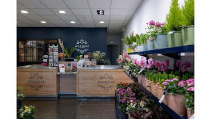 Photo n°20 de Monceau Fleurs à Montpellier (Boutique de cadeaux)