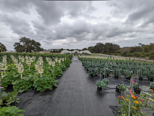 Vo-LaSalle Farms, Inc. Gallery - United States