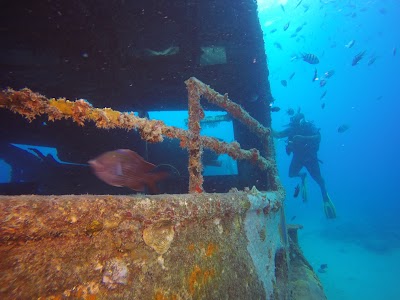 Photos of SeaPro Divers Puerto Plata