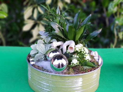 Casteflor - Visual