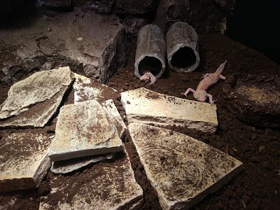 Photos of Eskisehir Akvaryum