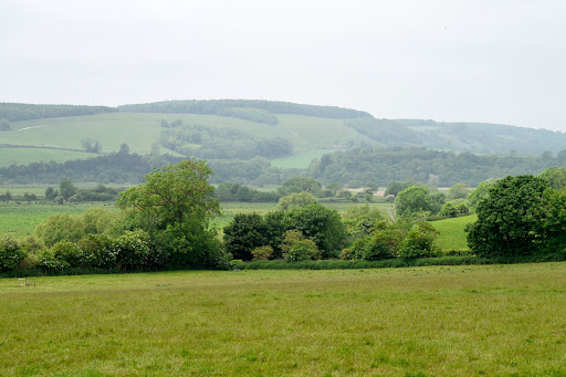 Arundel - Visual