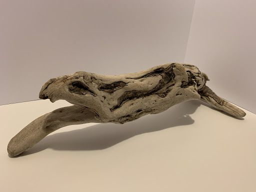 Designedwoods - Visual