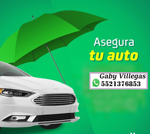 Asesor Gaby Villegas Seguros Auto y Vida - Thumbnail