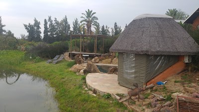 Photos of Addo Dung Beetle Guest Farm