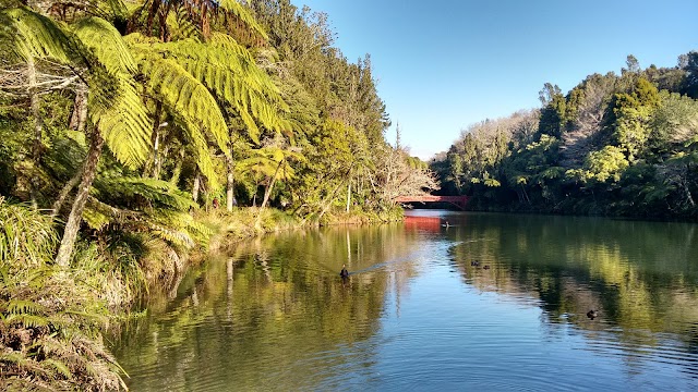 Pukekura Park
