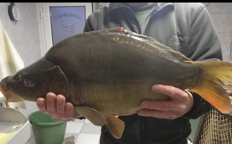 Fisch- und Wildverkauf Gera