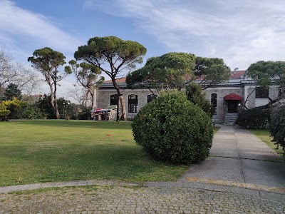 Boğaziçi University