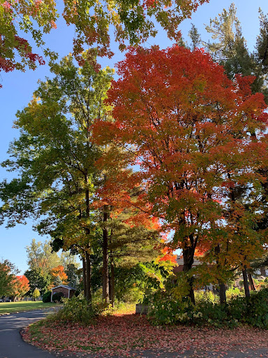 Danforth Park - Thumbnail